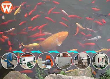 Van het de Vissenvoer van de netwerkriem de Verwerkingsmachine, 65KW-Vissenvoedsel Productieproces