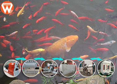 Het Voerinstallatie van opbrengst 3-4 T/H Dalende Drijvende Vissen met Roterende Nevelmachine